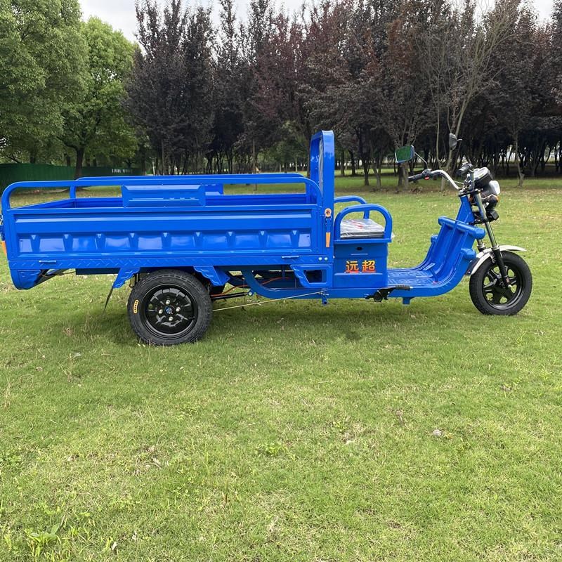 电动三轮车拉货载重王三轮电动电瓶车家用大型农用三轮车摆摊快递