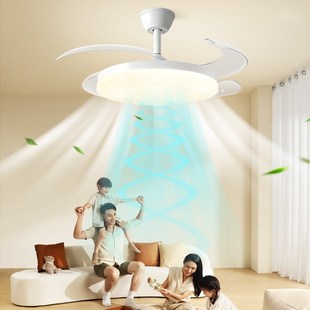 风扇灯2025新款 客厅餐厅家用房间D一体吊扇灯全光谱隐形静音电扇
