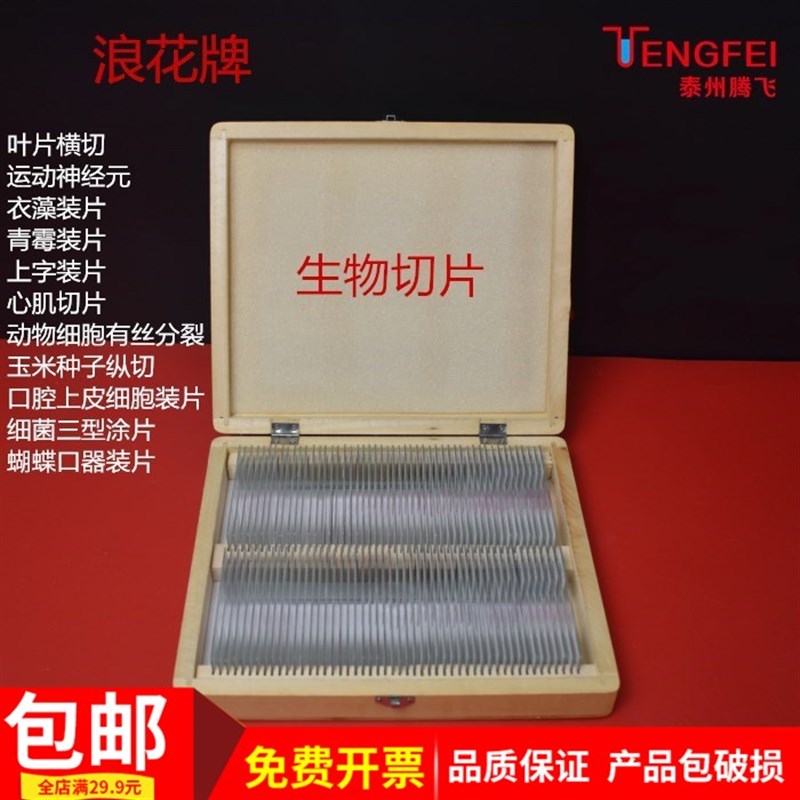 植物根尖迎春叶水绵洋葱鳞片F植物酵母菌生物切片教具