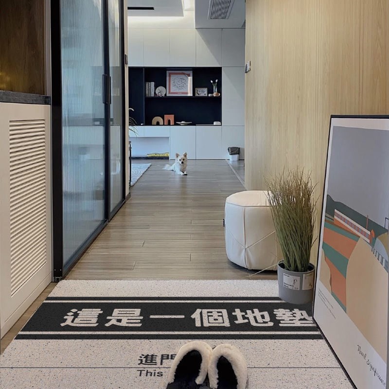 门口地垫入门地垫入户门丝圈定制门垫外门防滑室外大门地垫耐脏