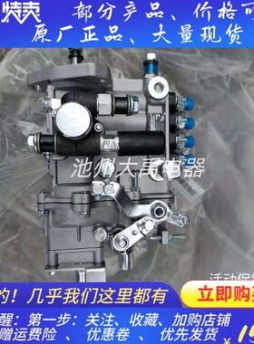 常发CF4B41G发动机柴油大泵常发490发动机燃油泵喷油泵4Q317SD-1