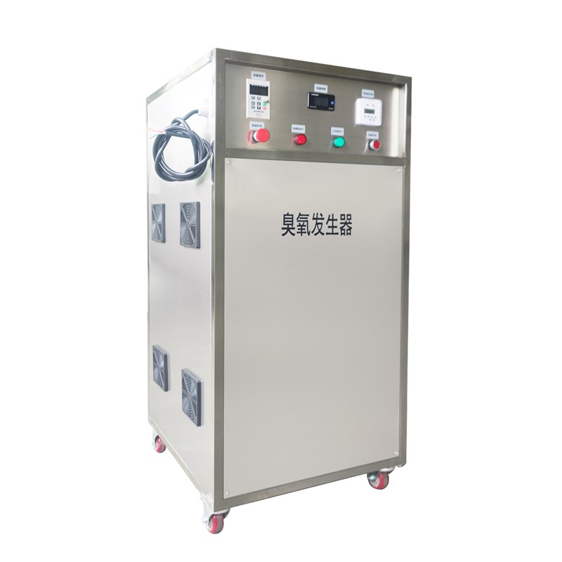 100G臭氧产生器大风力空气源食品加厂化妆品厂空间消毒杀菌除甲醛