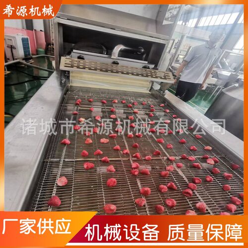 冻干草莓巧克力涂层机 全自动裹巧克力设备 800型淋浆机可试机