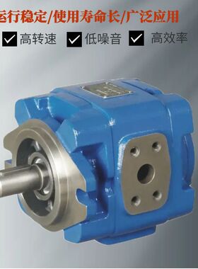 美国SUNNY桑尼液压油泵HG0-25-01R-VPC HG0-016-01R-VSC齿轮泵