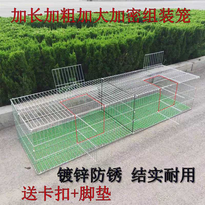 加密加粗镀锌铁丝笼鸡笼鸽子笼兔宠物鸡/鸭/鸽笼