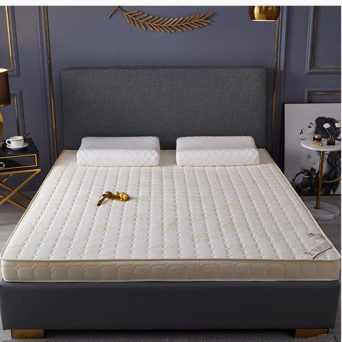 床垫软垫加厚家用睡垫1.5榻榻米单人宿舍海绵垫被褥子1.8米床垫子