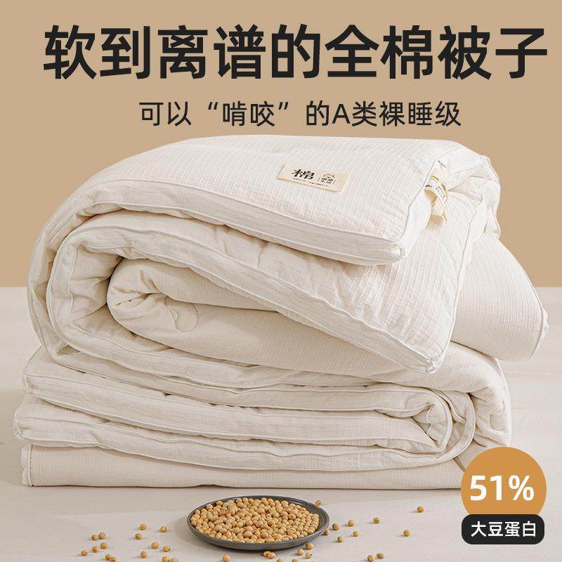 100棉秋冬季大豆纤维被A类全棉抗菌春秋被子单双人纯棉加厚冬被芯