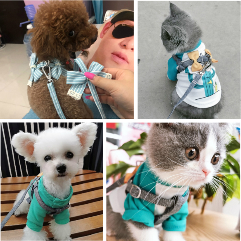 宠物小狗狗牵引绳遛猫咪遛狗绳子约克夏泰迪超小型幼犬胸背带2斤