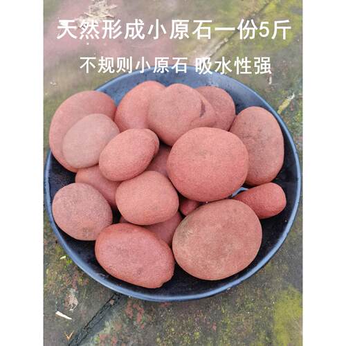 赤水丹霞石种植石斛苗小原石头专用基石吸水自然圆金钗铁皮盆栽土
