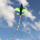 易带线儿童初学者飞机成人新款 风筝大长飞风尾抗沈阳贾元 丰轮