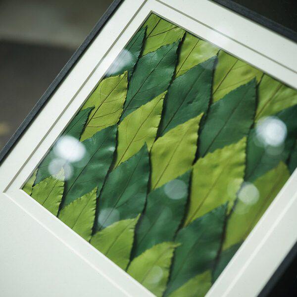 种籽造物??一叶成林夏暖植物标本挂画手工押花北欧装饰画组画