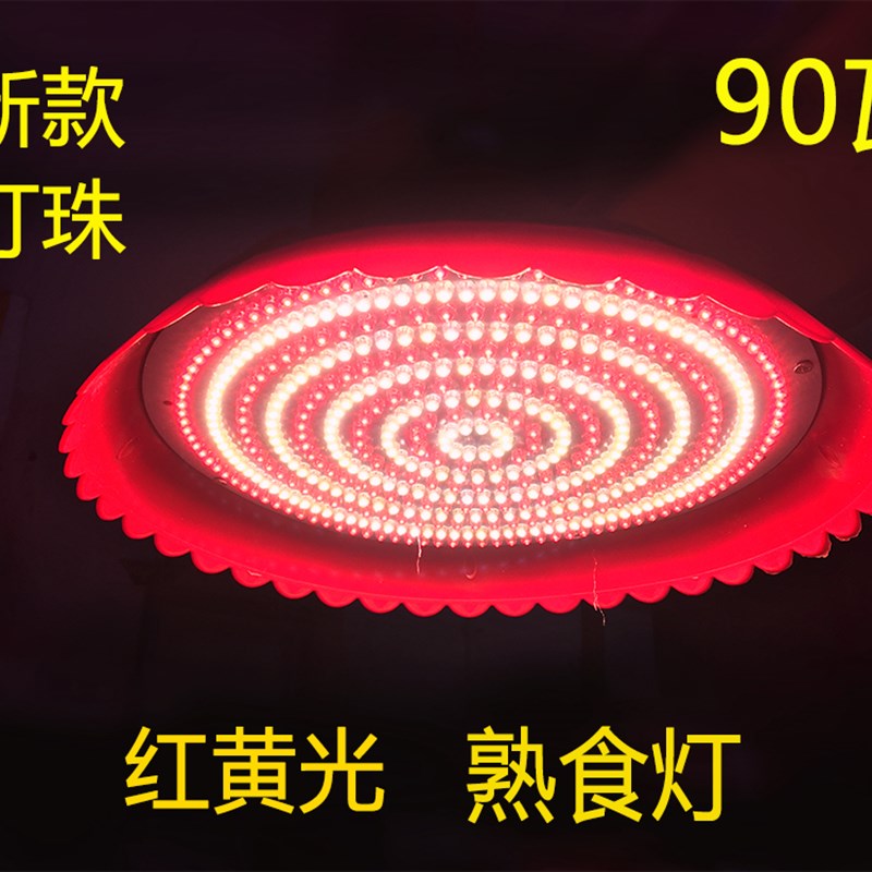 12V电瓶用熟食灯水果灯卤肉卤菜灯48v60V72伏电动三轮车低压led灯