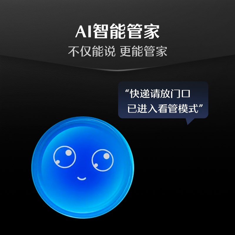 德施曼密码锁指纹锁家用防盗门3D人脸识别智能锁感应锁R9精灵版