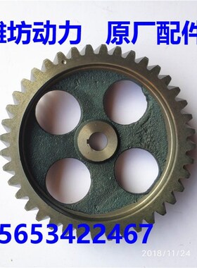 潍坊潍.柴华丰K4100D ZHAG ZH4102 ZH4105ZD喷油泵齿轮柴油机配件
