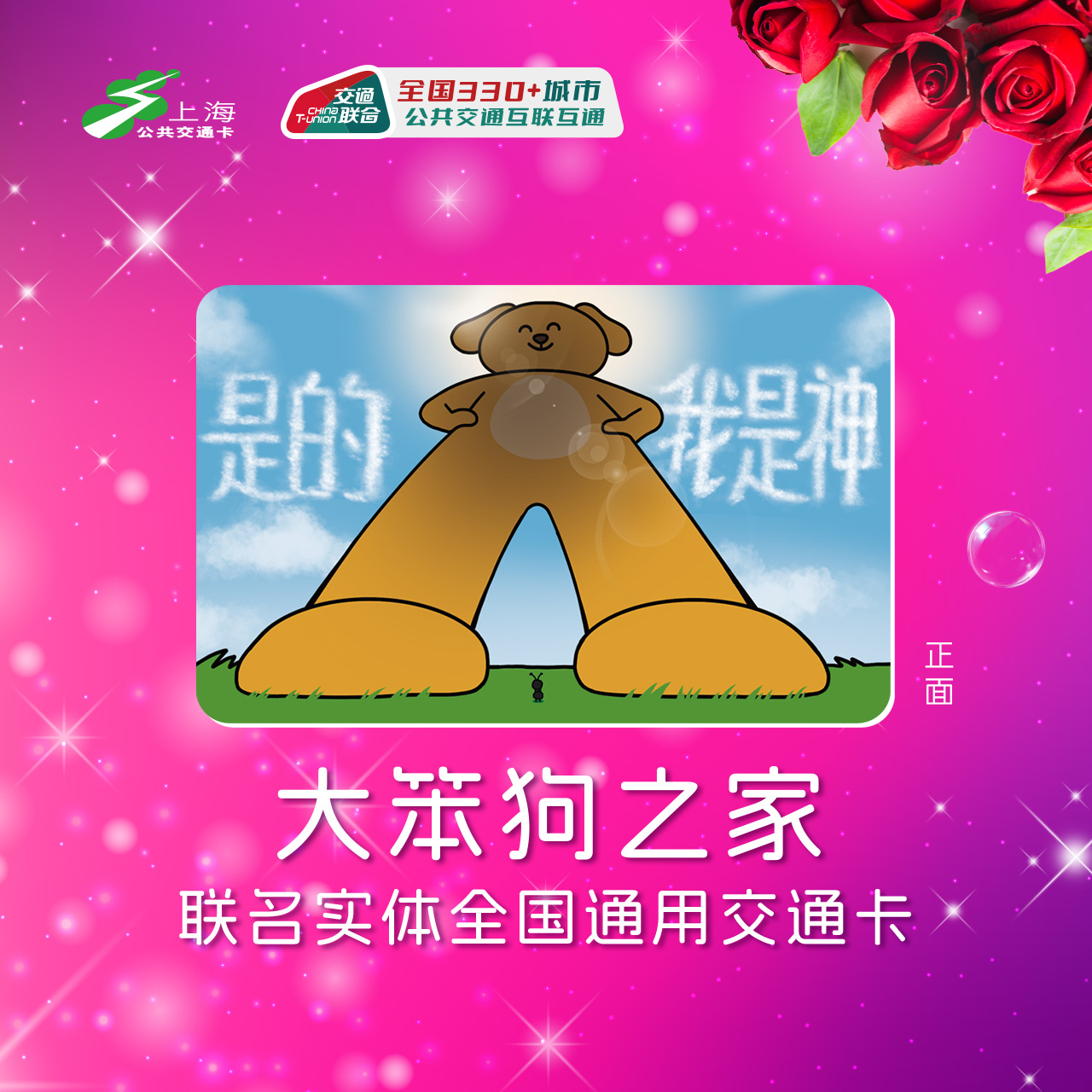 大笨狗之家f 联名全国通用交通卡 标准卡