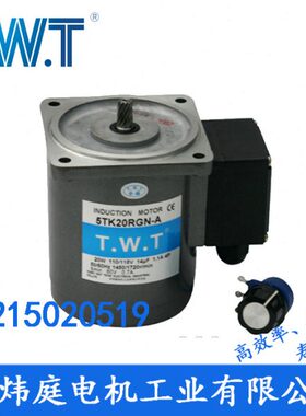 转矩马达 力矩电机2TK3GN-A 4TK10GN-A台湾TWT东炜庭齿轮减速电机
