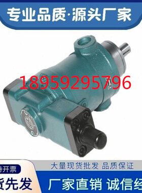 邵阳维克轴向柱塞油泵32 63 80 100 108 125 160 250 400SCY14-1B