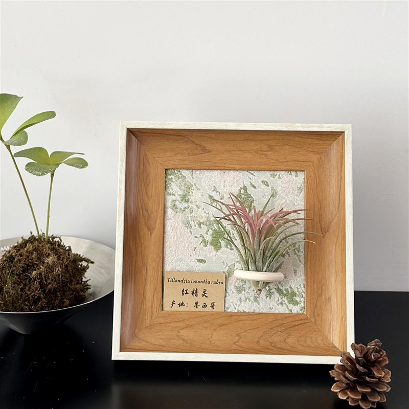 is空气b凤梨套餐懒人装饰画框复古桌面挂墙原木白边相框5寸