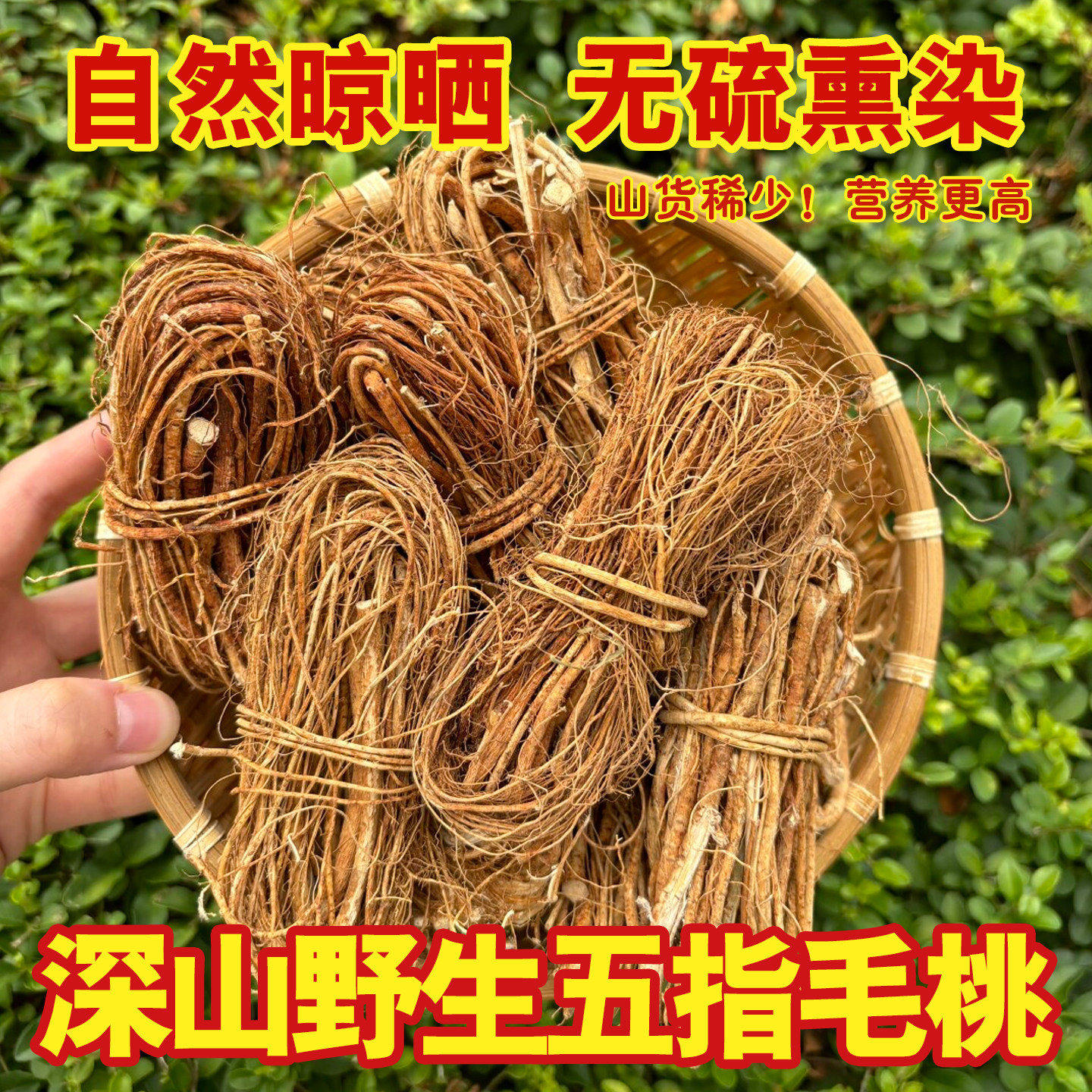 正宗野生五指毛桃根中药材官方旗舰店芡实土茯苓煲汤材料祛湿茶