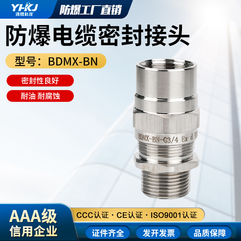 BDMX-BN 接管式304不锈钢防爆电缆电线密封夹紧固定接头格兰头