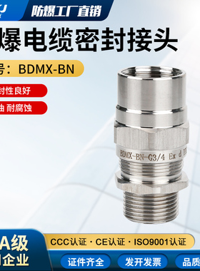 BDMX-BN 接管式304不锈钢防爆电缆电线密封夹紧固定接头格兰头