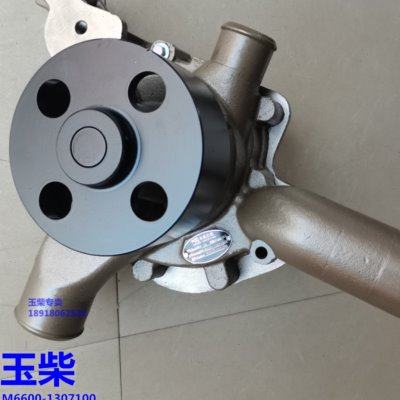 玉柴YC6M发动机原装M6600-1307100D冷却水泵船电发电机组客货车