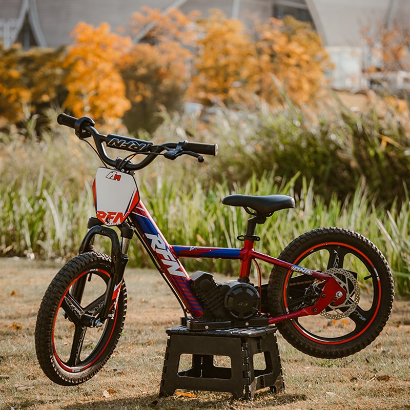 阿波罗RFN越野电竞车 16寸/12寸电动小摩托 非道路车