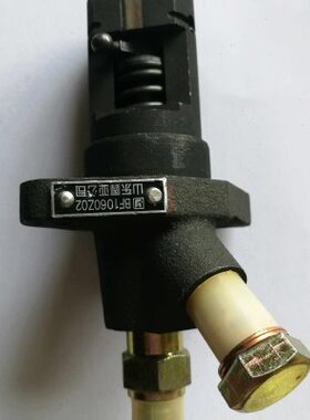 常发常富CF176/R176油泵总成（BF1060Z02）