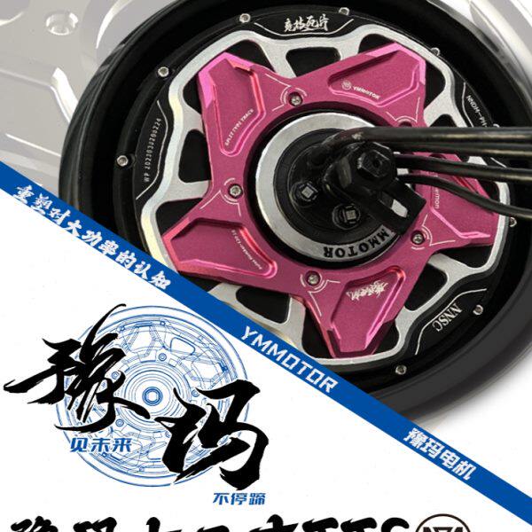 豫玛六代12寸瓦片竞技版高转速电动车电机非全顺200TTS-1500TTS