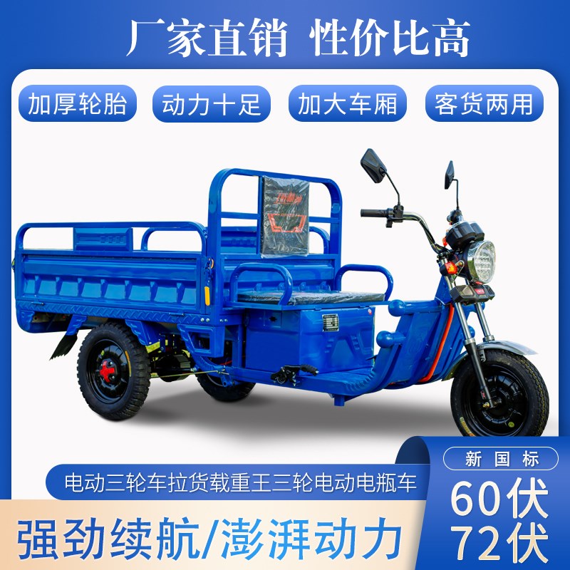 新国标电动三轮车载重王成人拉货三轮快递车新款家用电瓶车农用车