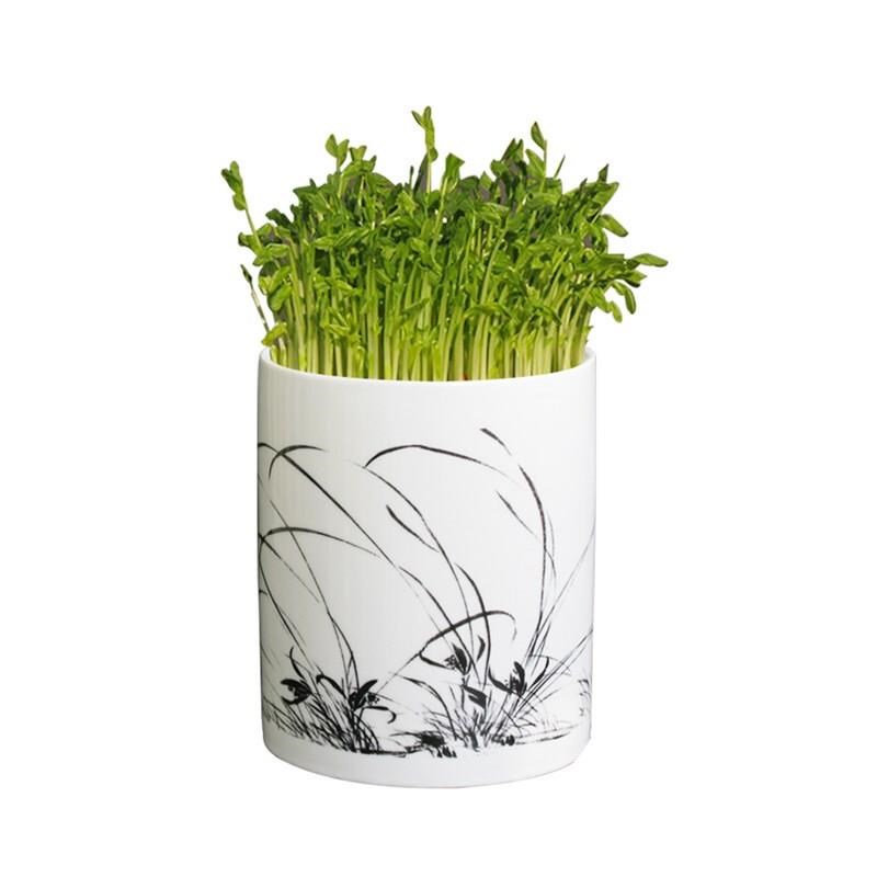 T全自动豆芽机家用发芽盆培育器F陶瓷豆O芽罐非X紫砂不红不苦