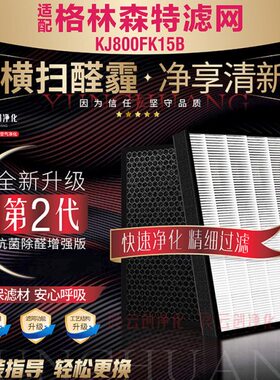 滤芯2抗菌KJ8片B5K1 适配格0林森特雾霾0除甲醛空气净化器过滤网F