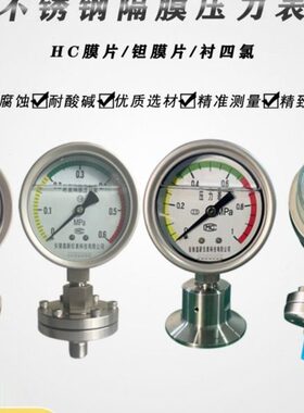 20膜N螺纹D隔不锈钢连片压力表式D10TP膜25接四氟法兰NM0YL