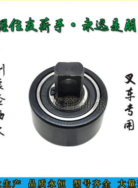 叉车轴承CN-9门架侧滚轮组CN-9 杭叉A30A35Z A38吨门架滚轮配套