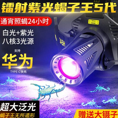 照蝎子专用灯充电头戴式手电筒超亮户外大功率强光紫光超长续航
