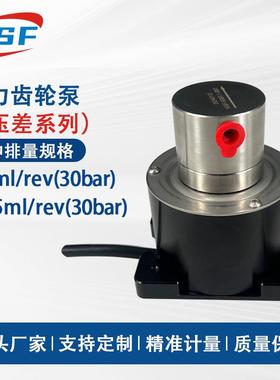 高压微型磁力齿轮泵平替MICROPUMP甲醇制氢泵小型自吸水泵厂家