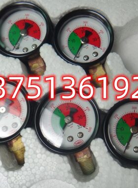 TM-302FW-T4P压力表TM-302FW-T2P永钿CHIBA台湾力劲尹之密压铸机I