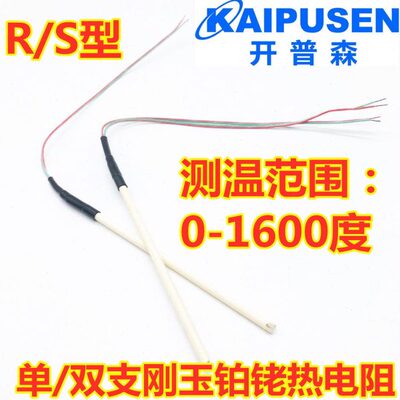 铂佬铠装99刚玉管热电偶R型S型B型温度传感器高温1600度探针式