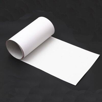 长板砂纸滑板防水超耐用防滑金刚粗细砂纸透明速降舞板全能板砂纸