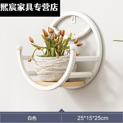 五项南岭墙上壁挂花架客厅阳台铁艺免打孔绿萝多肉花盆植物花架子