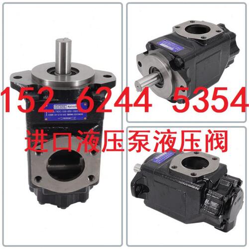 T6EDM 062 035 4R02/3R02 丹尼逊工程机械油泵T6DC/T6EC/T6EDC