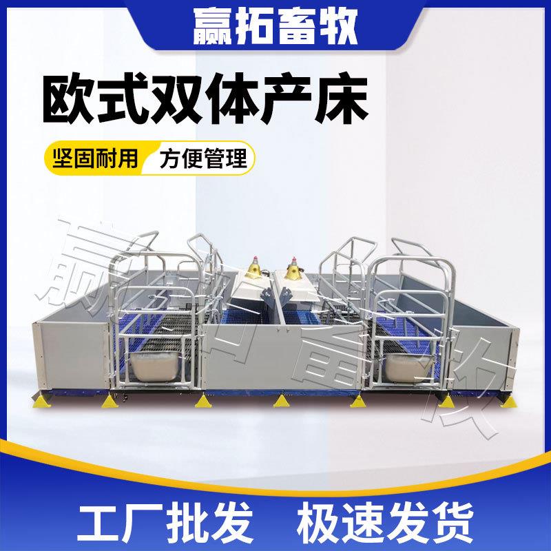 厂家定制欧式双体产床母猪产床猪分娩床热浸锌产保一体欧式产床