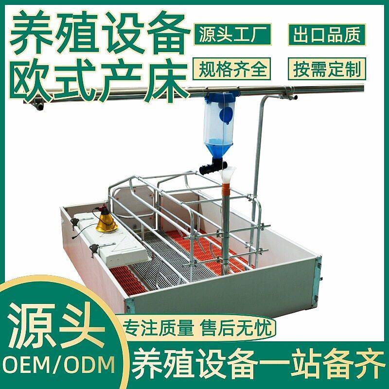 正红农牧养殖设备养殖场养猪场欧式产床体双体产床母猪分娩床