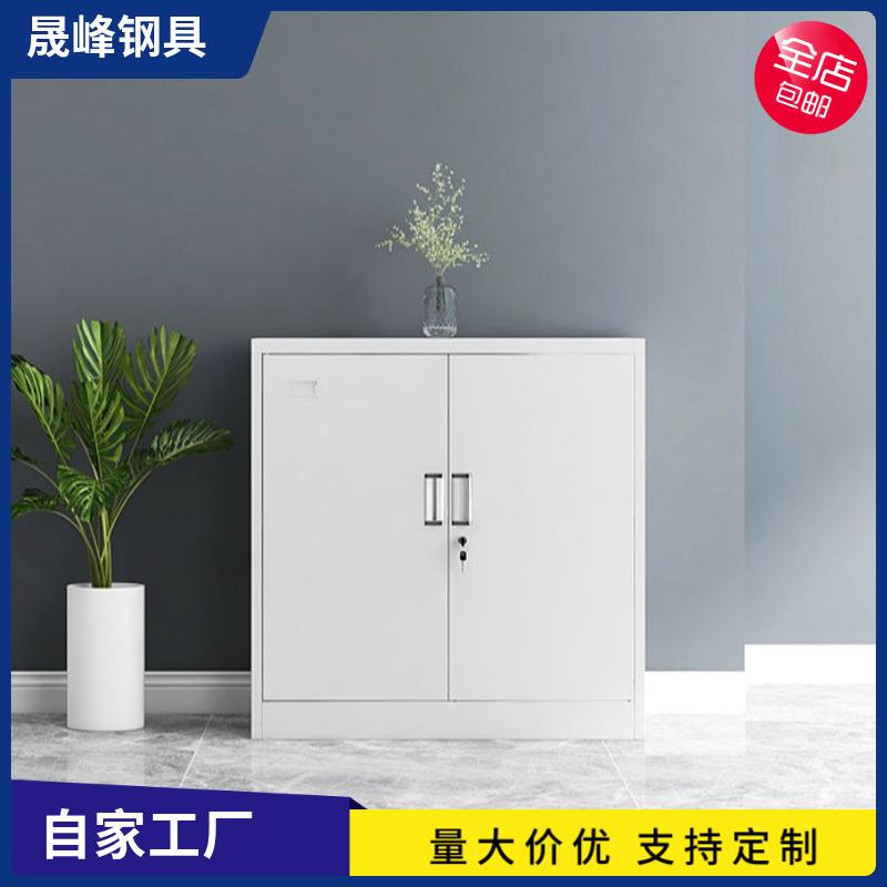 对开门矮柜定制铁皮文件柜对开门下节矮柜卓边小矮柜财务凭证柜