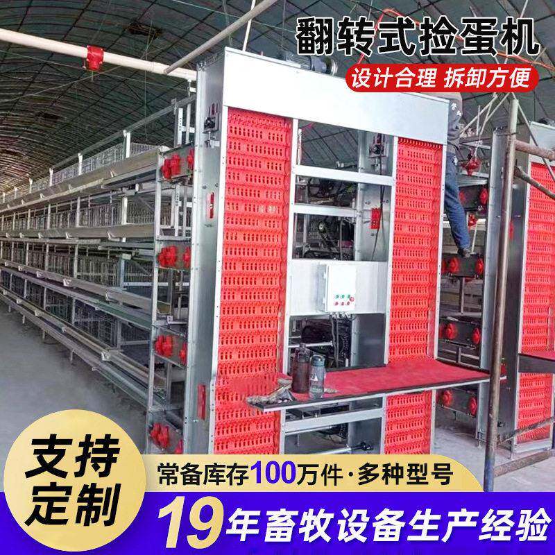 严选阶梯式蛋鸡笼背负式自动喂料机鸡舍养殖养鸡场设备自动捡蛋机