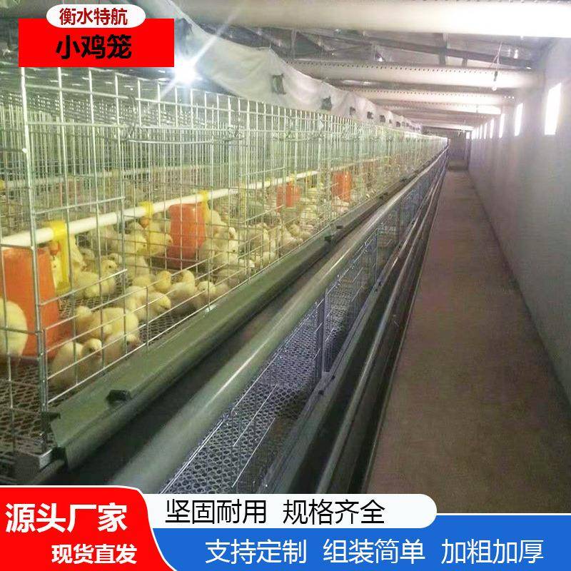 小鸡雏鸡加密养殖简单鸡笼防夹防跑小鸡笼畜牧农用养殖雏鸡笼