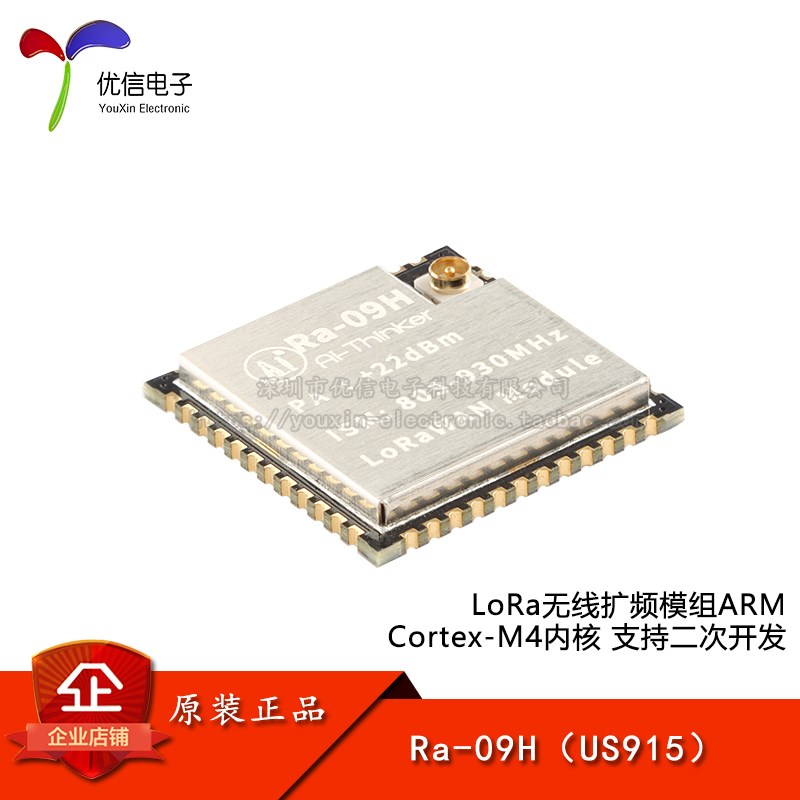 原装正品 Ra-09H LoRa无线扩频模块支持LoRaWAN协议STM32WLE5CCU6