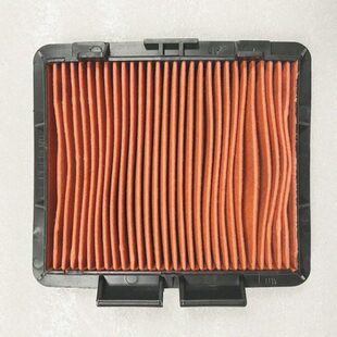 CB223/XR230/FTR223/SL230空气滤芯