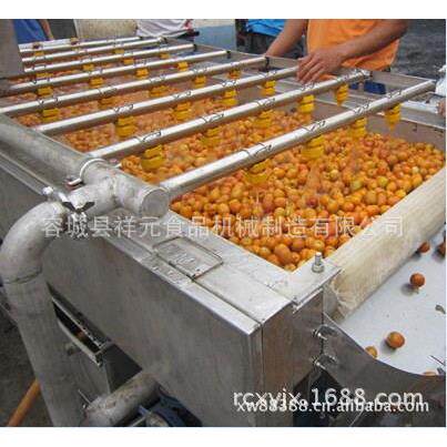 河北果蔬气泡清洗机草莓大枣叶菜清洗机除沙机食品机械