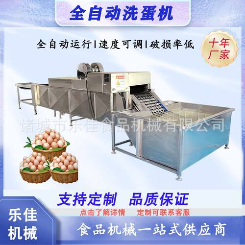 大型不锈钢洗蛋机单排快速不伤蛋清洗设备养殖场去泥去污洗蛋设备
